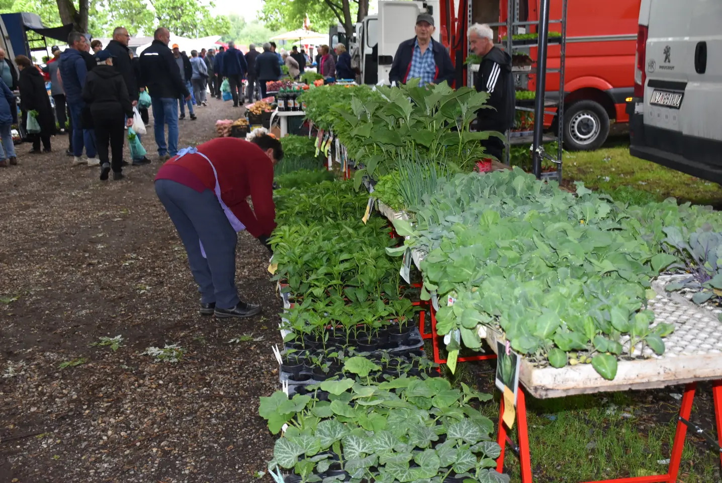 Sajam. Čakovec, 21.5.2025 (15)