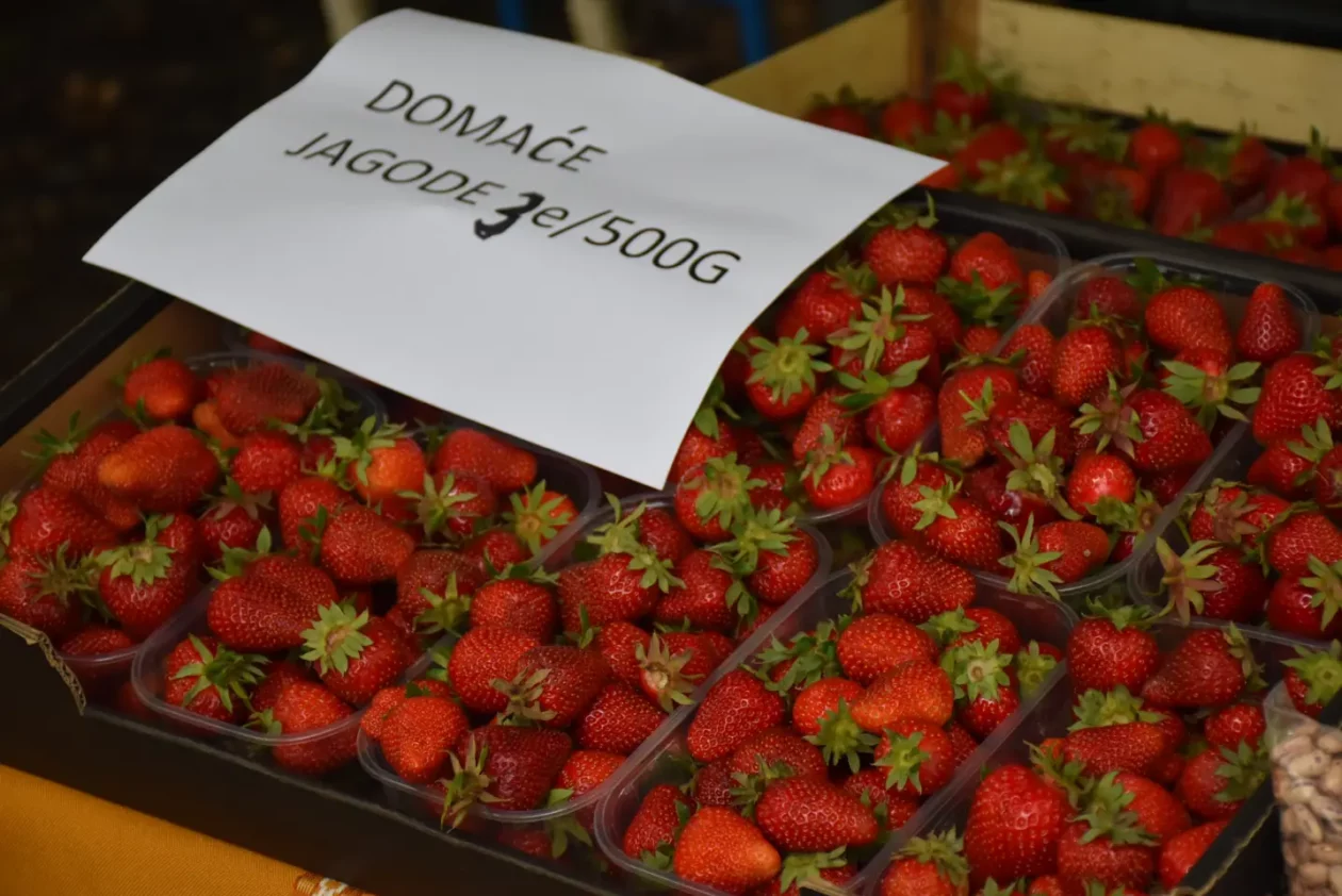 Sajam. Čakovec, 21.5.2025 (17) Sajam. Čakovec, 21.5.2025 (17)