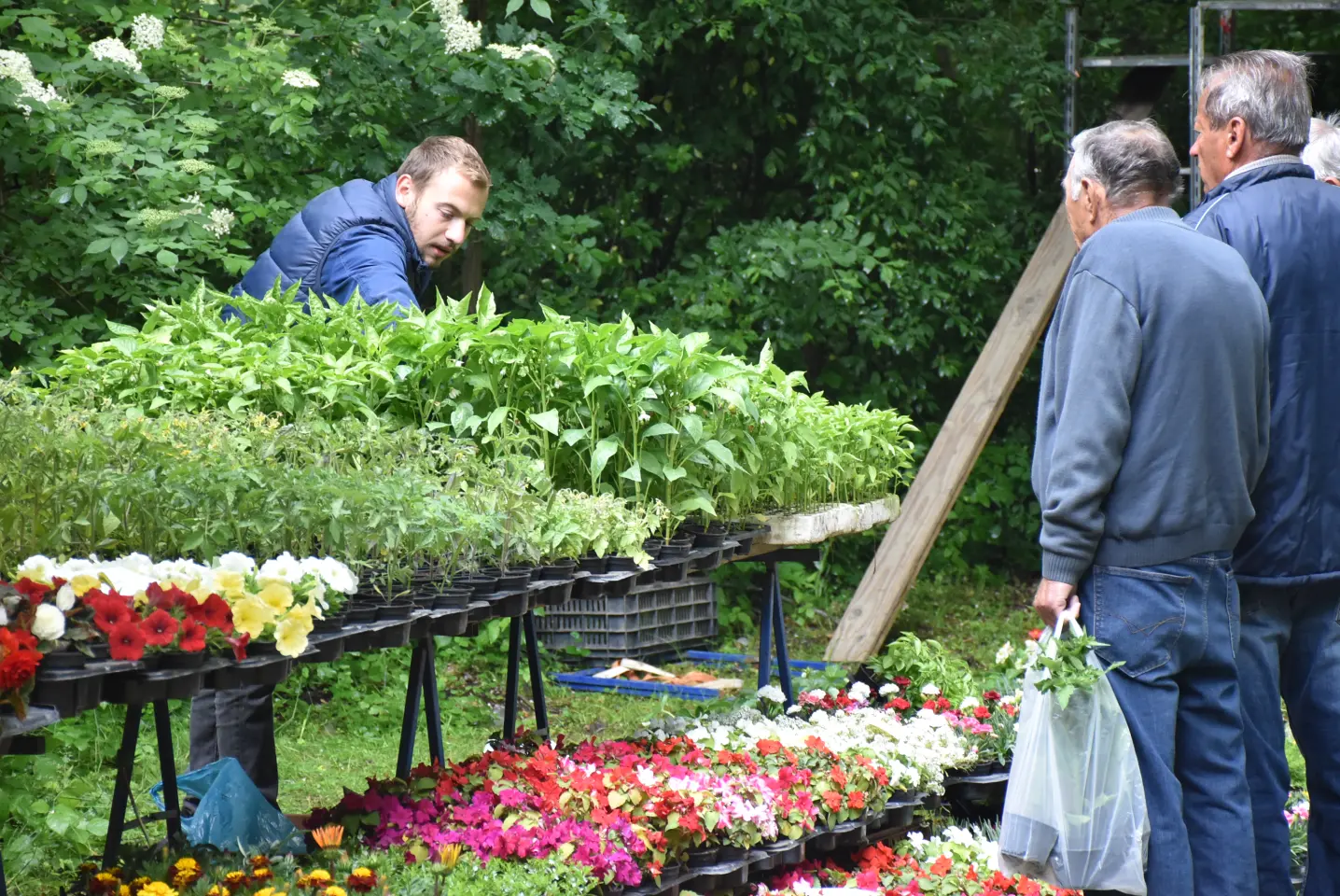 Sajam. Čakovec, 21.5.2025 (22)