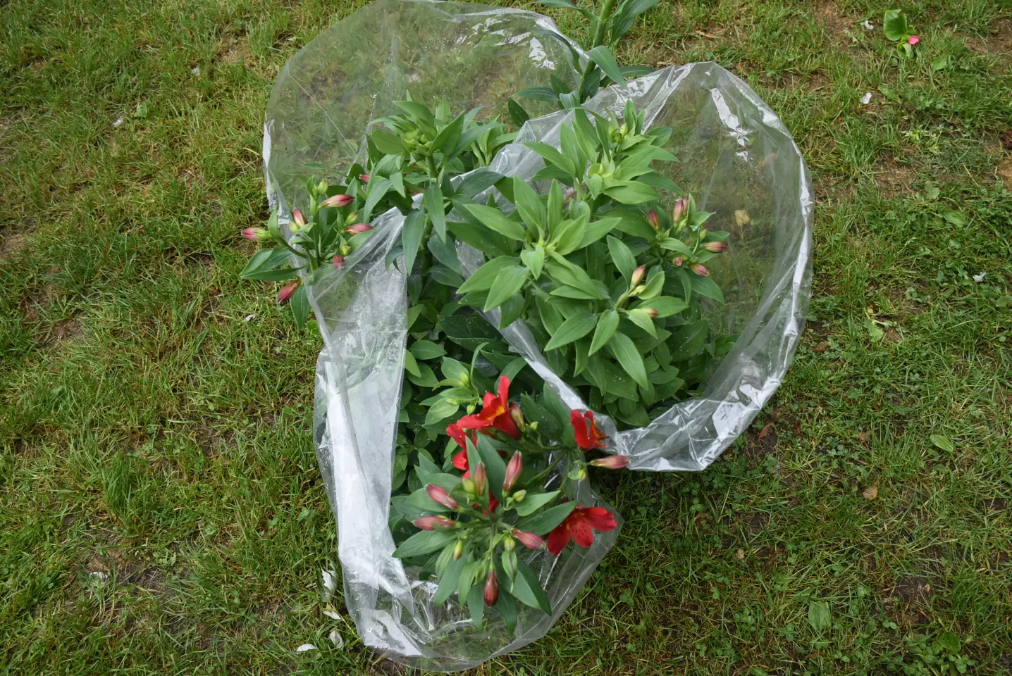 Sajam. Čakovec, 21.5.2025 (26)