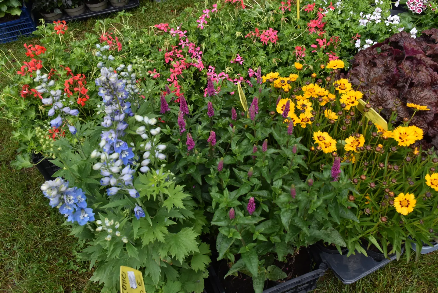 Sajam. Čakovec, 21.5.2025 (27)