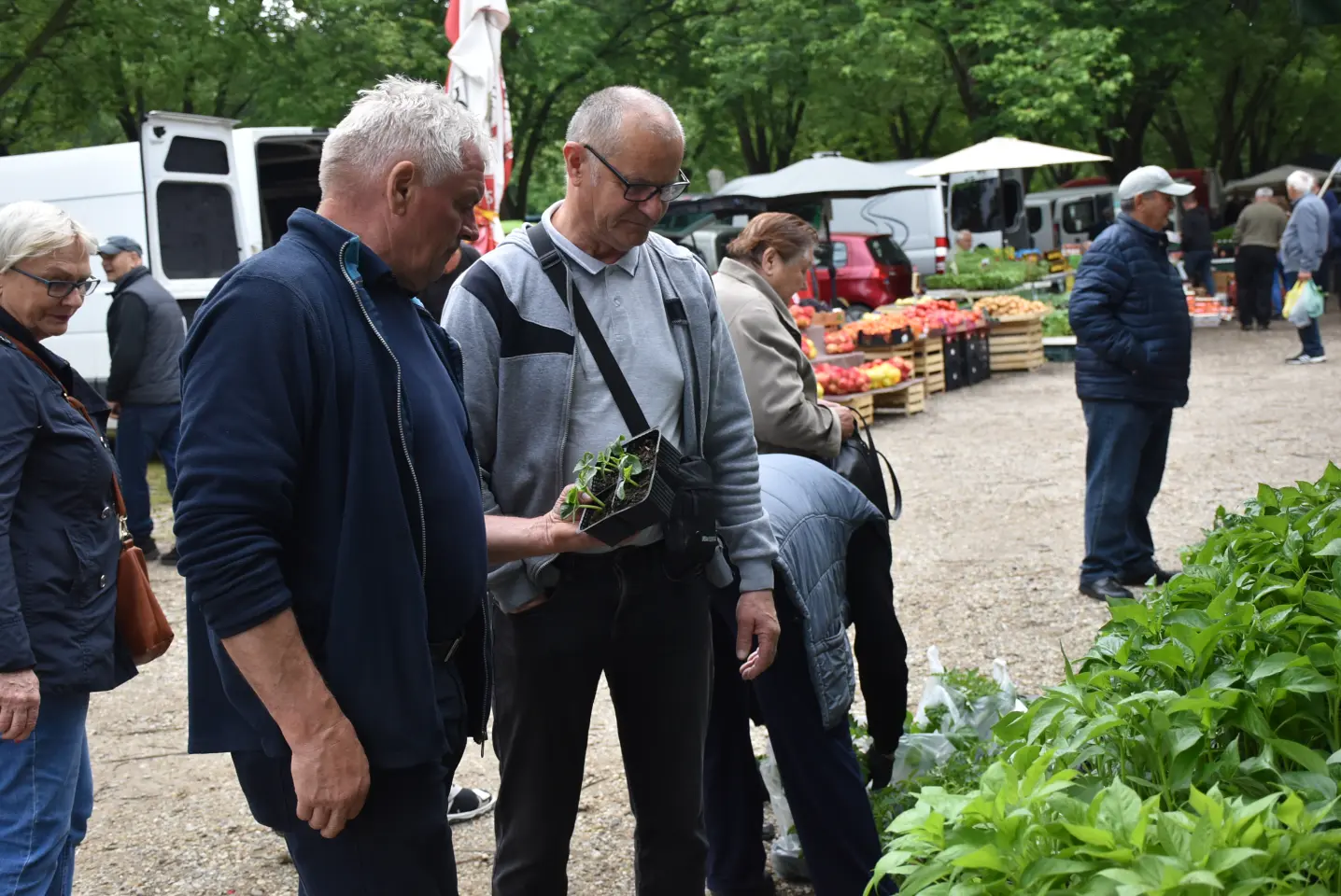 Sajam. Čakovec, 21.5.2025 (3)