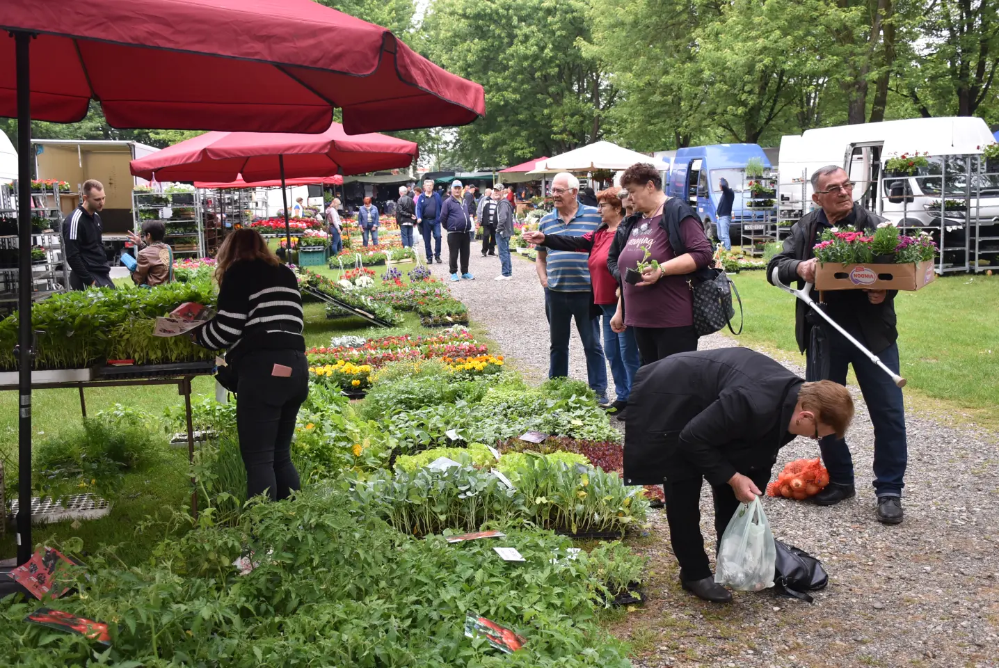 Sajam. Čakovec, 21.5.2025 (31)