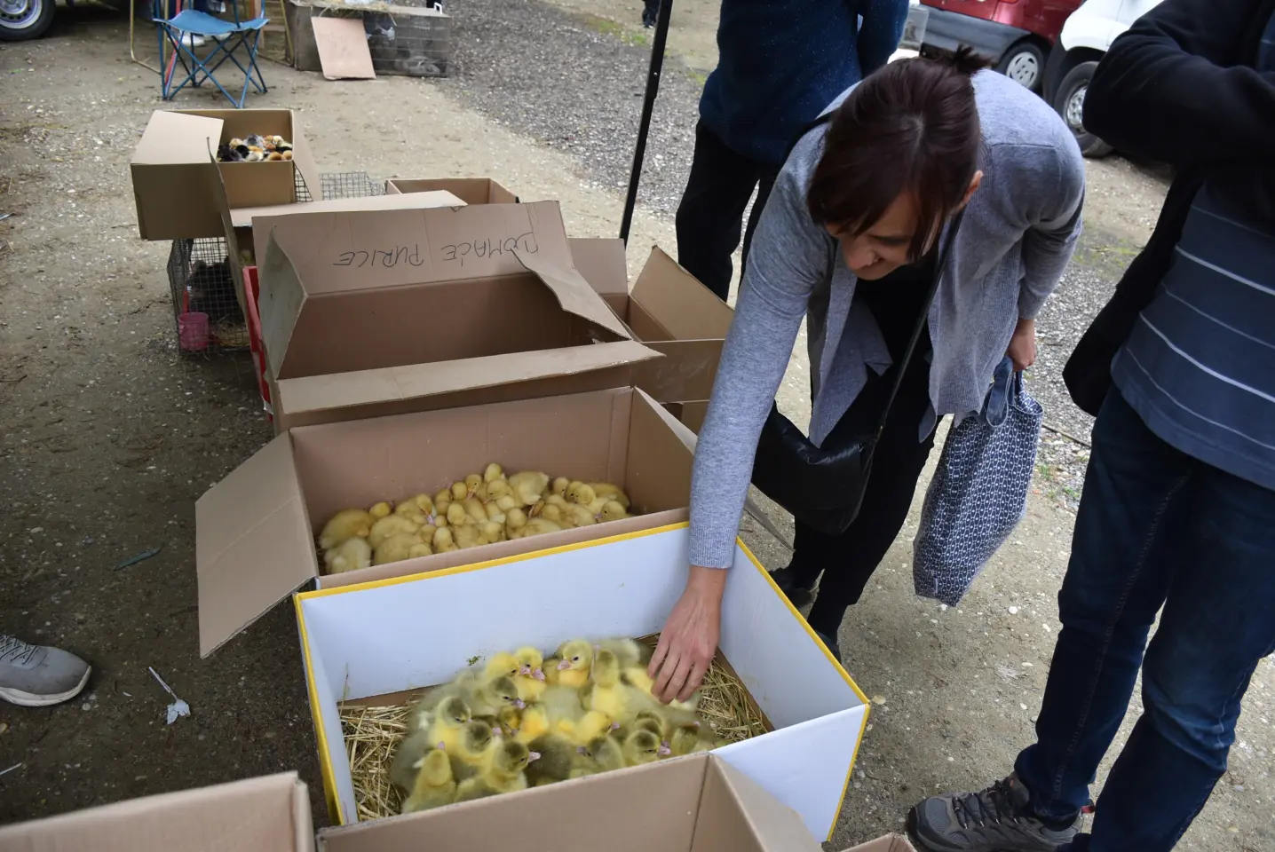 Sajam. Čakovec, 21.5.2025 (35)