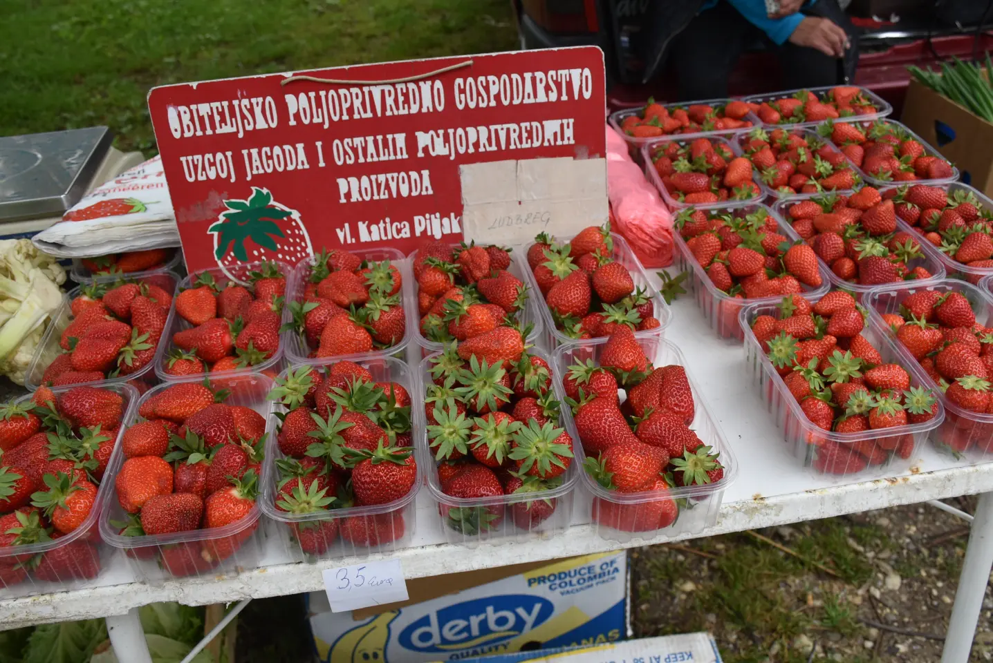 Sajam. Čakovec, 21.5.2025 (4)