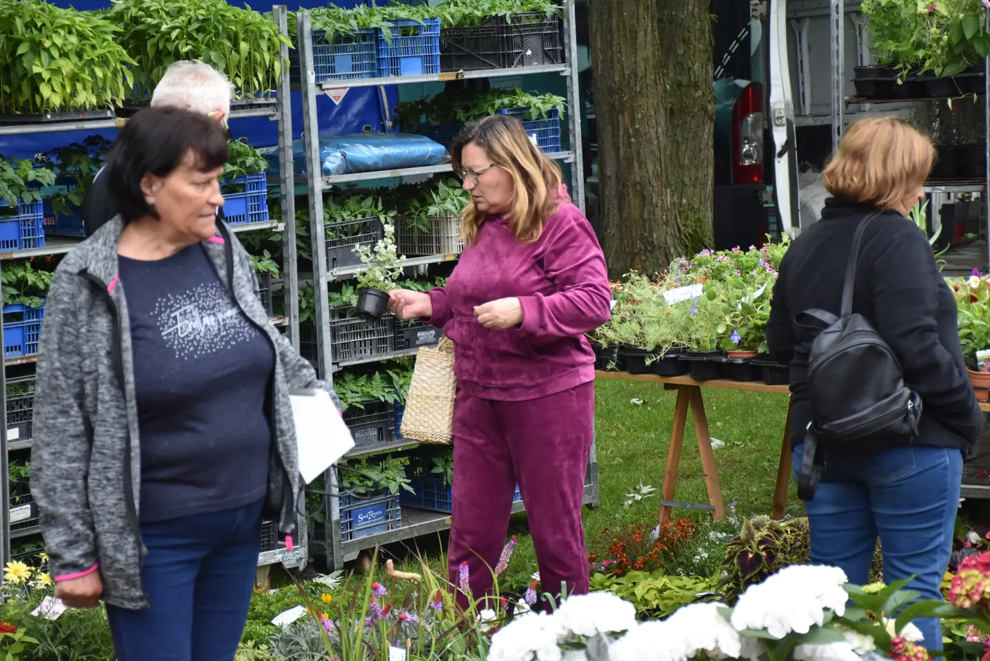 Sajam. Čakovec, 21.5.2025 (6)