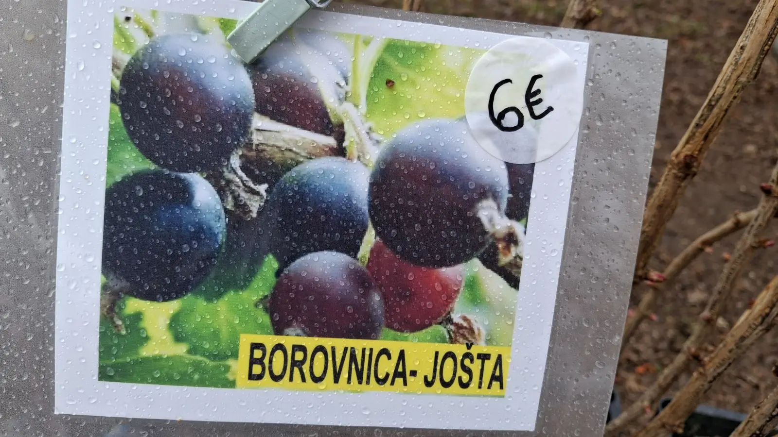 Sajam. Čakovec, 26.2 (20)