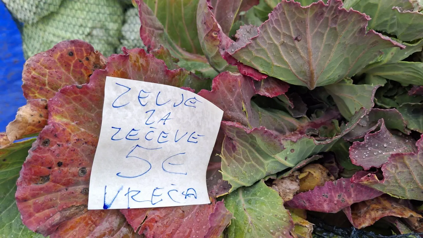 Sajam. Čakovec, 26.2 (26)