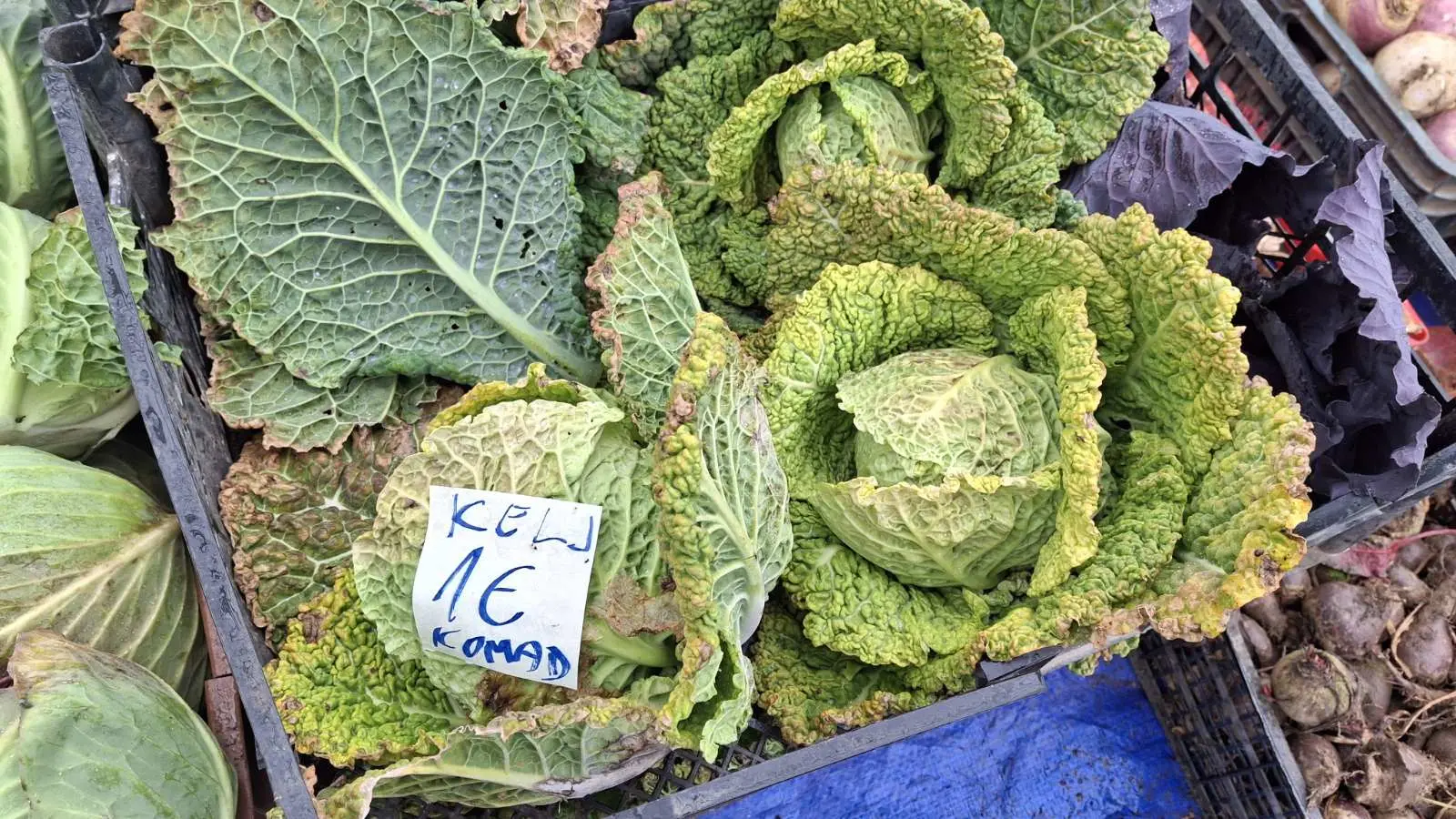 Sajam. Čakovec, 26.2 (28)