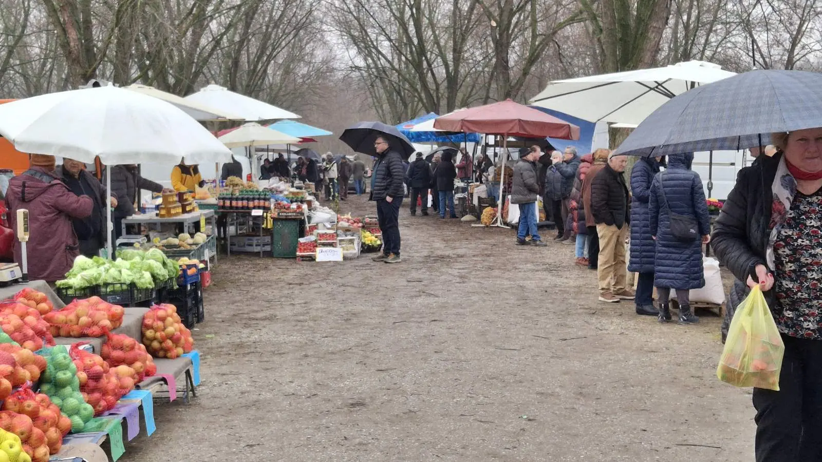 Sajam. Čakovec, 26.2 (3)