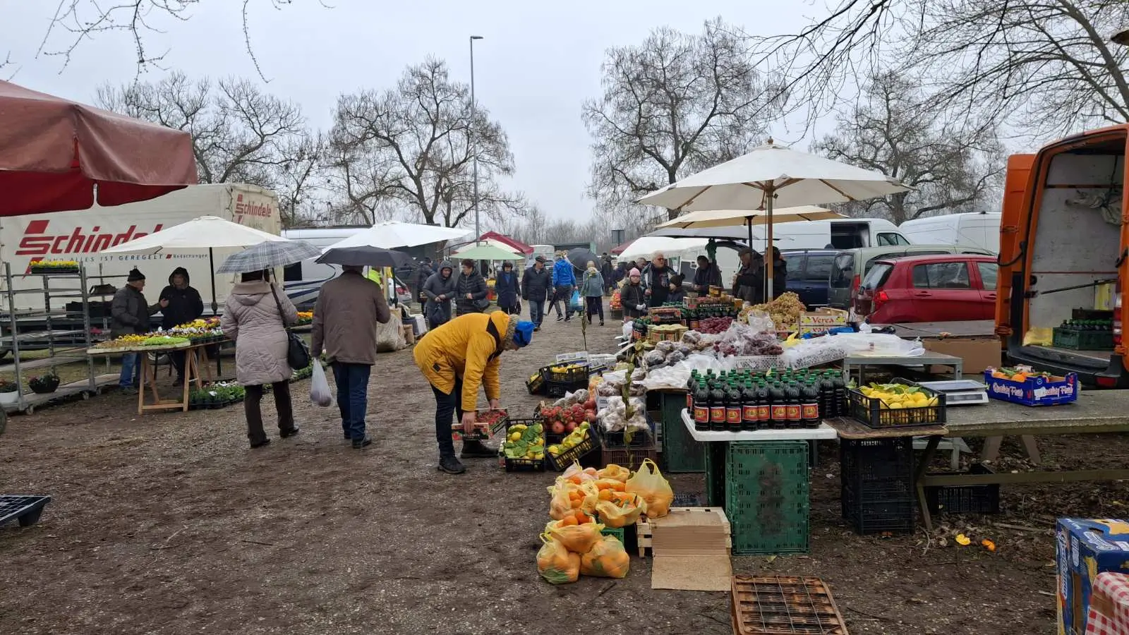 Sajam. Čakovec, 26.2 (35)