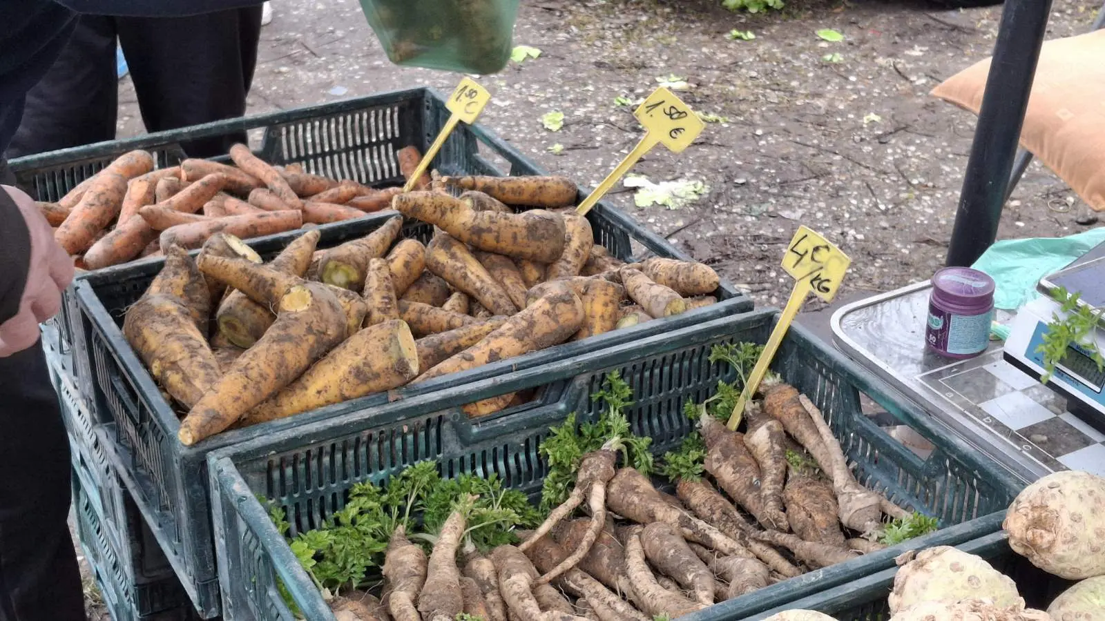 Sajam. Čakovec, 26.2 (39)