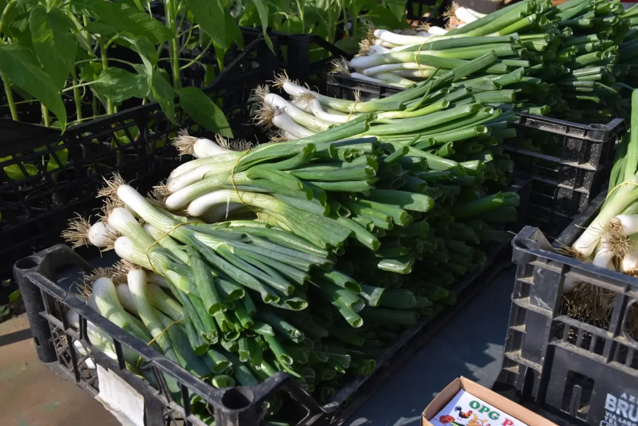 Sajam. Čakovec, 9.4 (12)