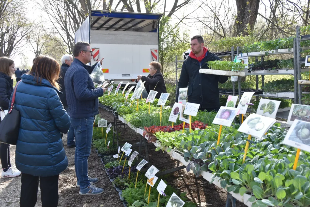 Sajam. Čakovec, 9.4 (33)