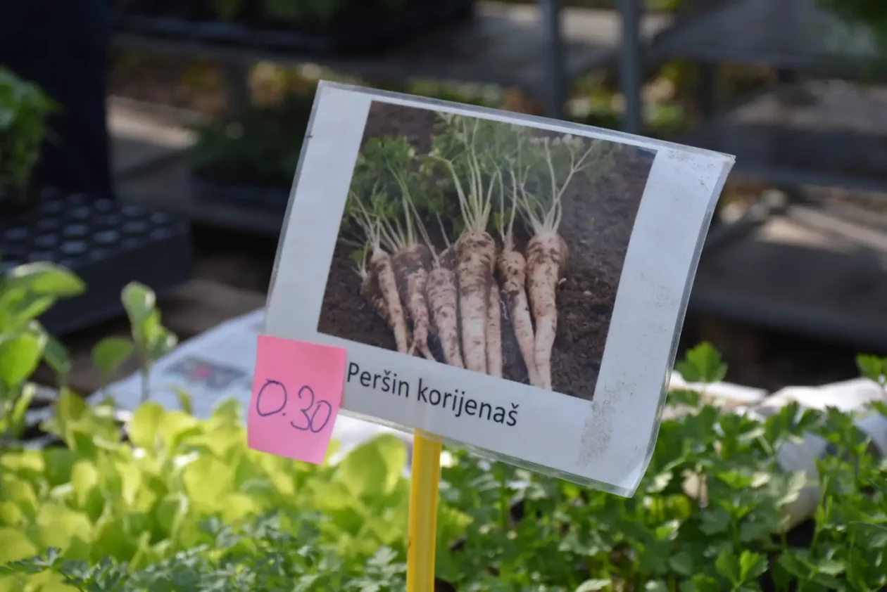 Sajam. Čakovec, 9.4 (34)