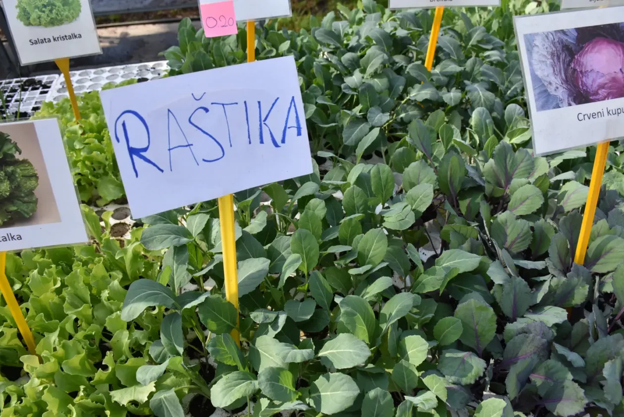 Sajam. Čakovec, 9.4 (35)