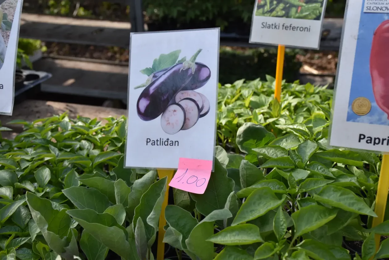 Sajam. Čakovec, 9.4 (37)