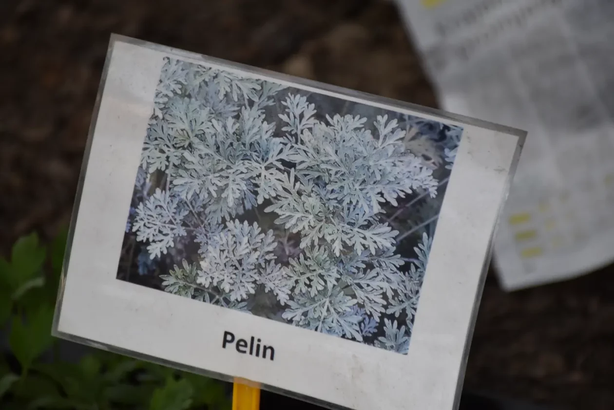 Sajam. Čakovec, 9.4 (38)