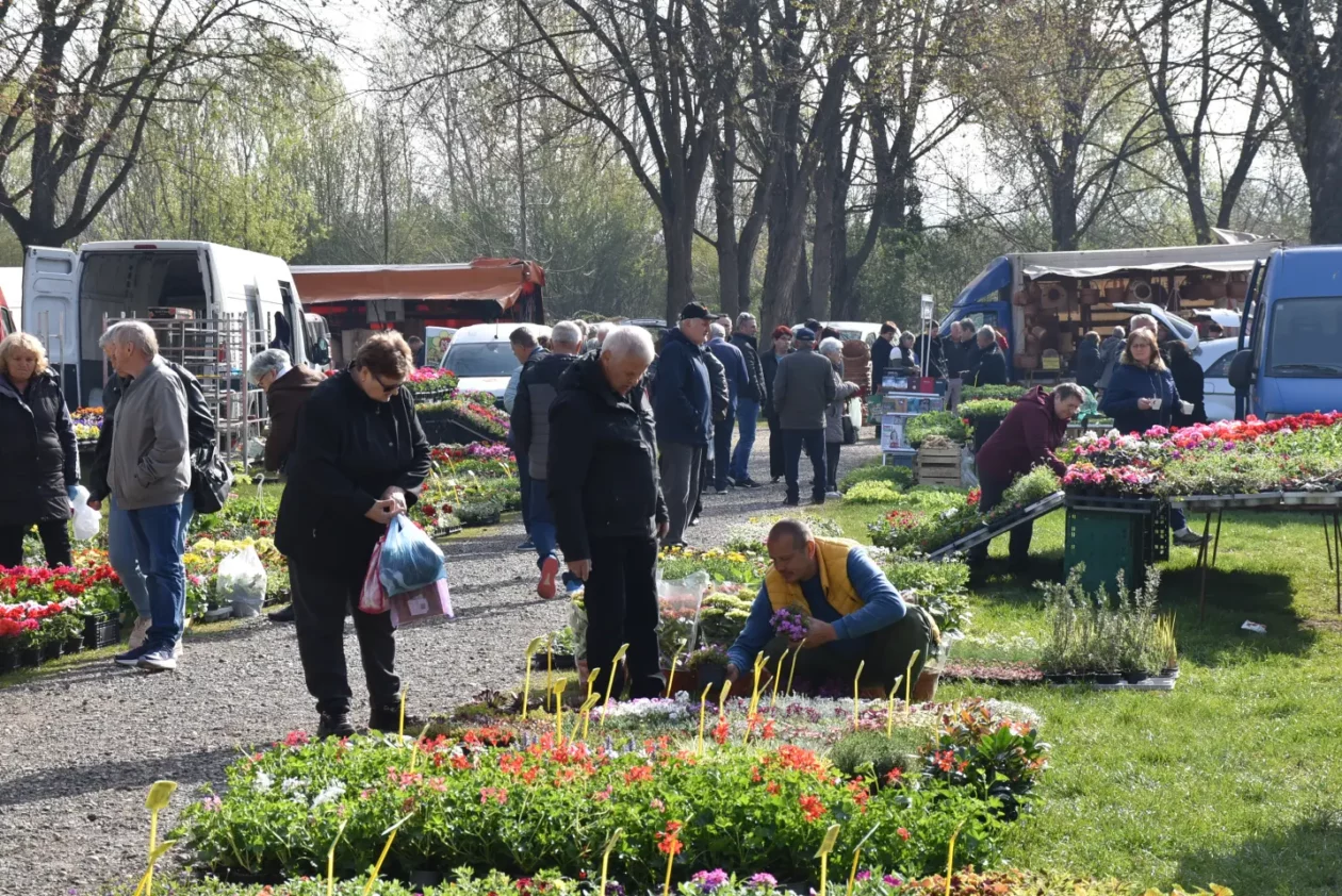 Sajam. Čakovec, 9.4 (44)