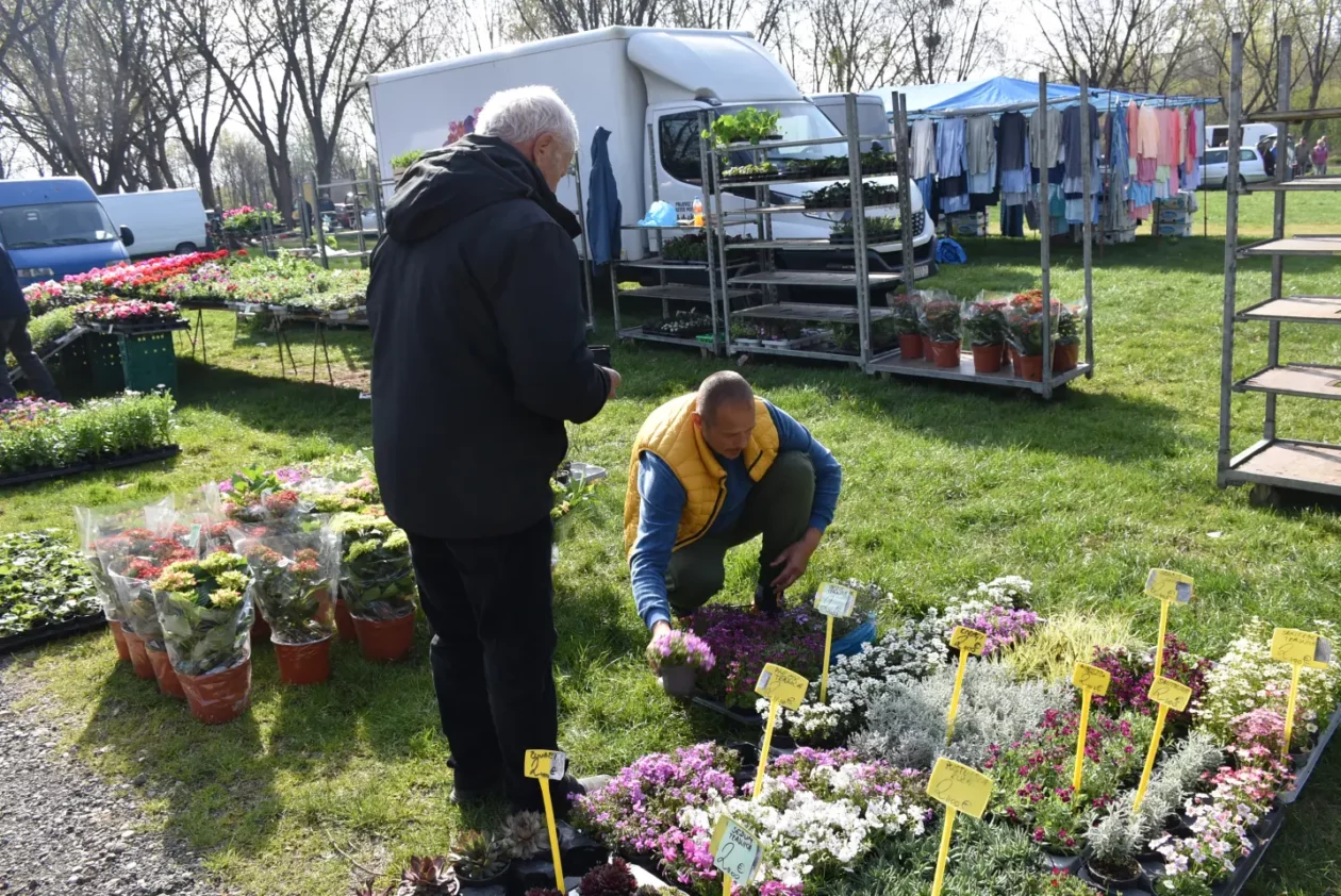 Sajam. Čakovec, 9.4 (45)