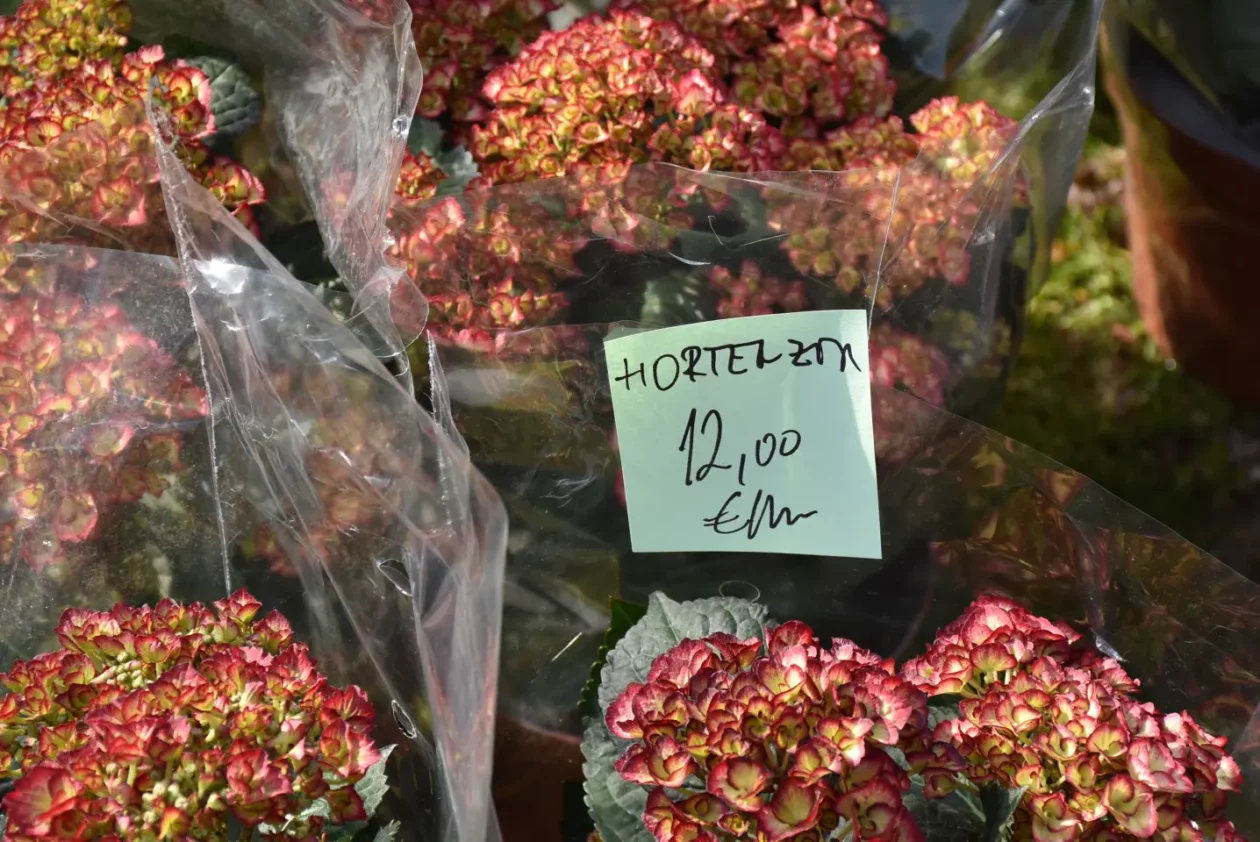 Sajam. Čakovec, 9.4 (46)