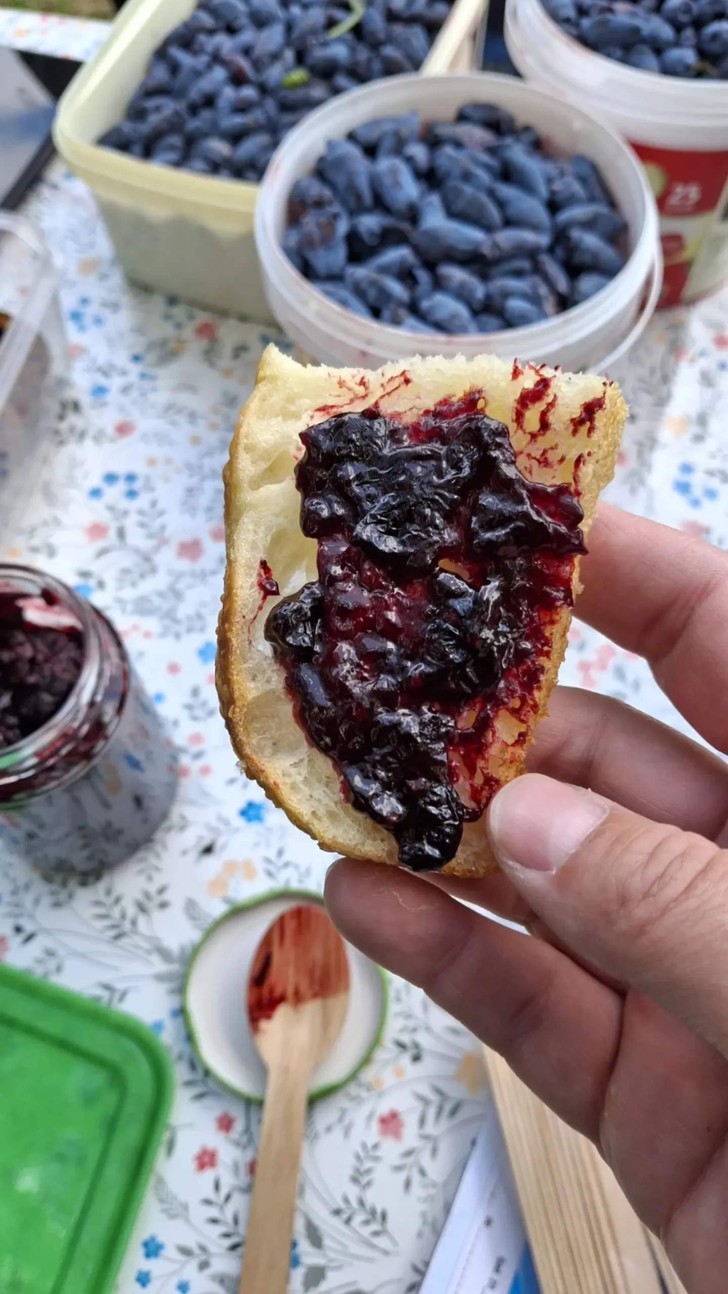 Samoberba, Prelog, Čonkaš, Haskap 2025 (12)