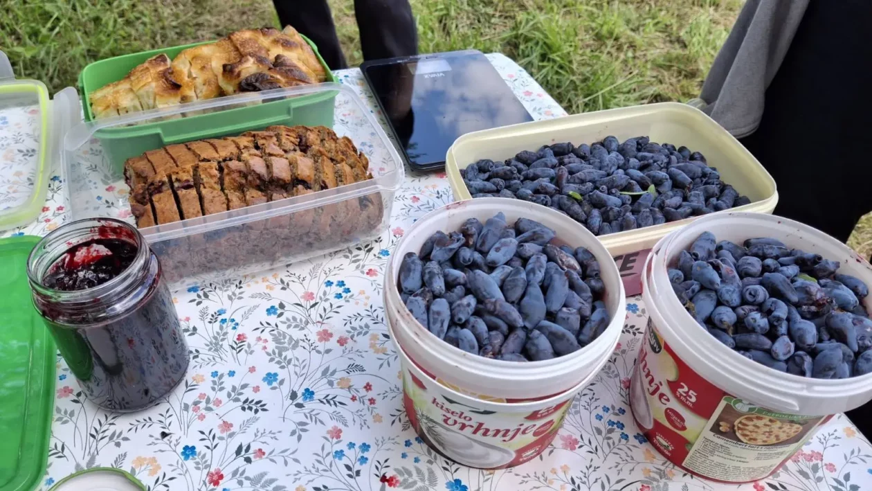 Samoberba, Prelog, Čonkaš, Haskap 2025 (13)