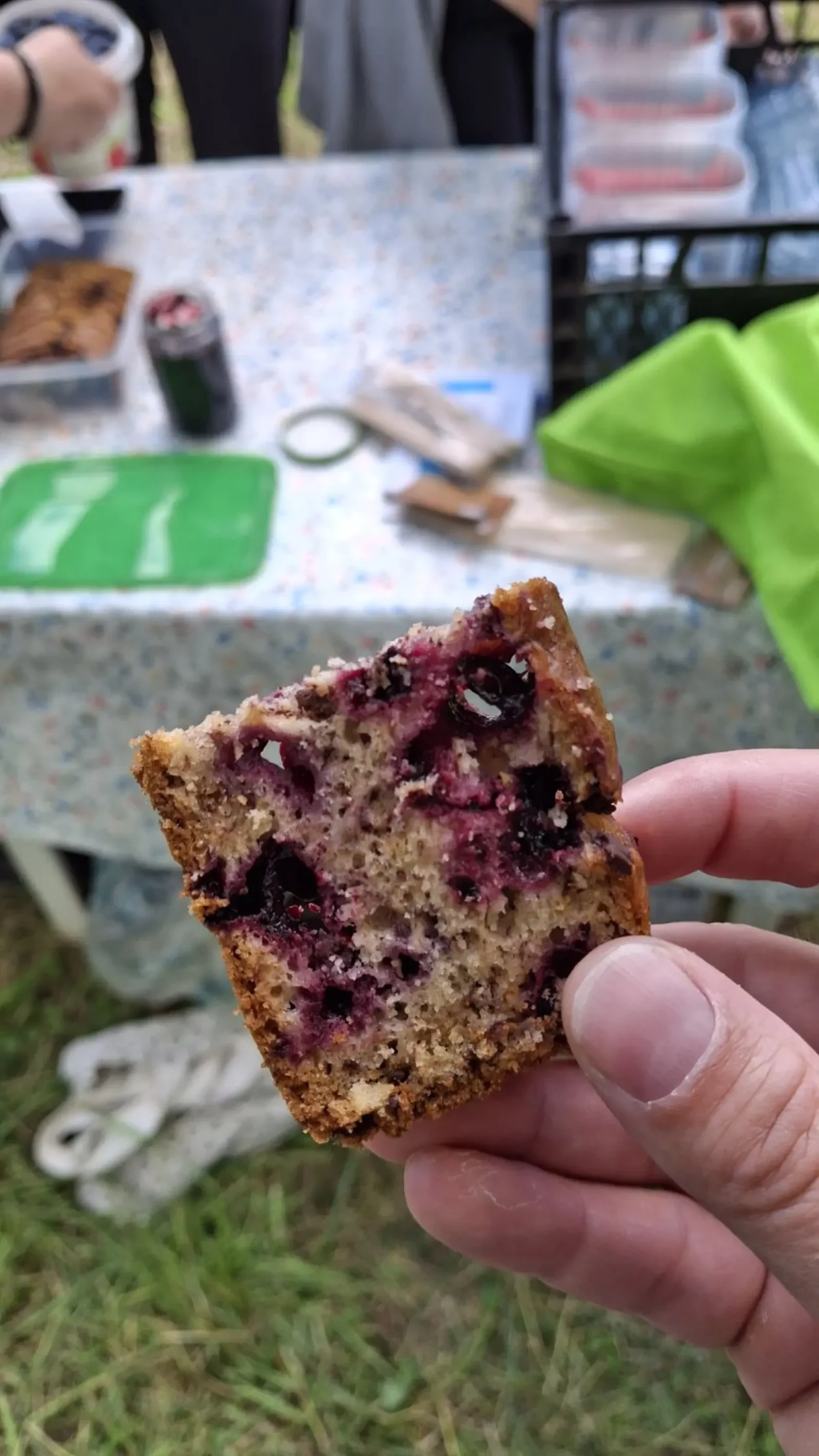 Samoberba, Prelog, Čonkaš, Haskap 2025 (15)