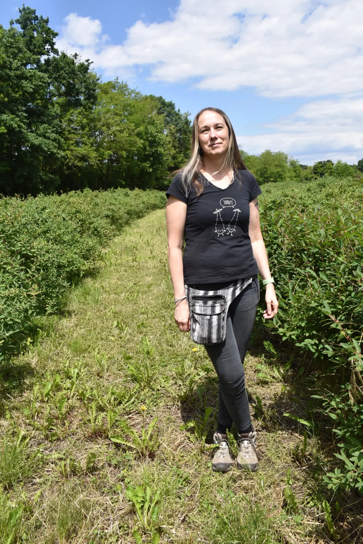 Samoberba, Prelog, Čonkaš, Haskap 2025 (2) Samoberba, Prelog, Čonkaš, Haskap 2025 (2)