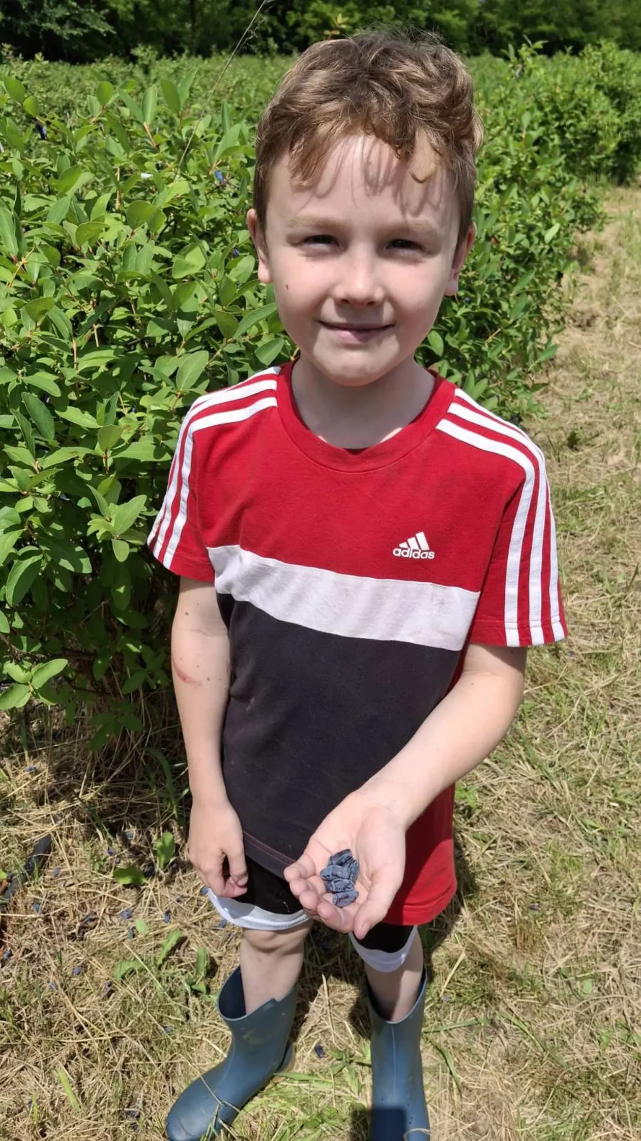 Samoberba, Prelog, Čonkaš, Haskap 2025 (21) Samoberba, Prelog, Čonkaš, Haskap 2025 (21)