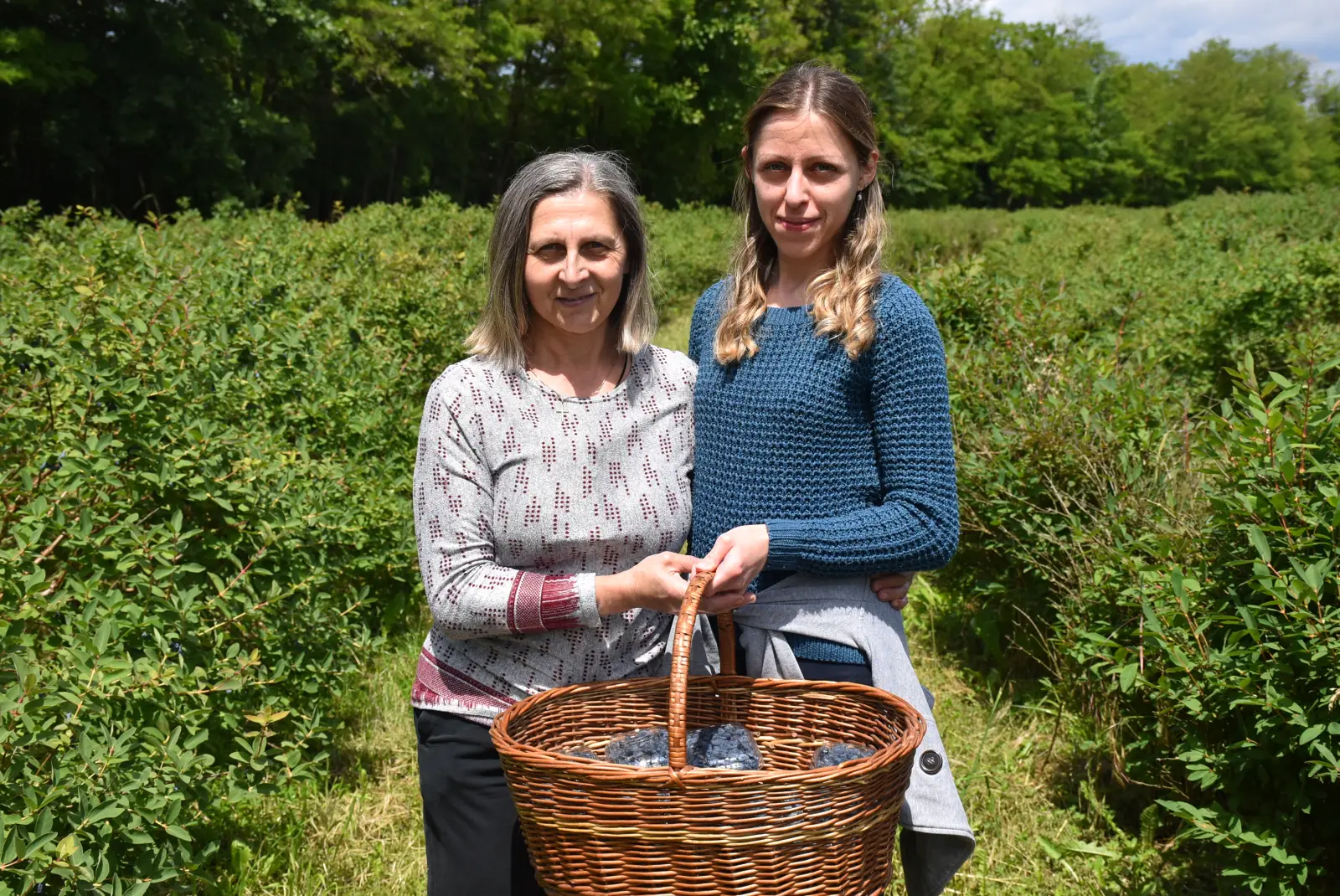 Samoberba, Prelog, Čonkaš, Haskap 2025 (4)