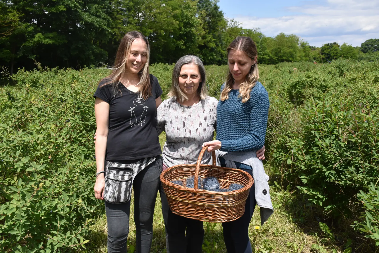 Samoberba, Prelog, Čonkaš, Haskap 2025 (6)