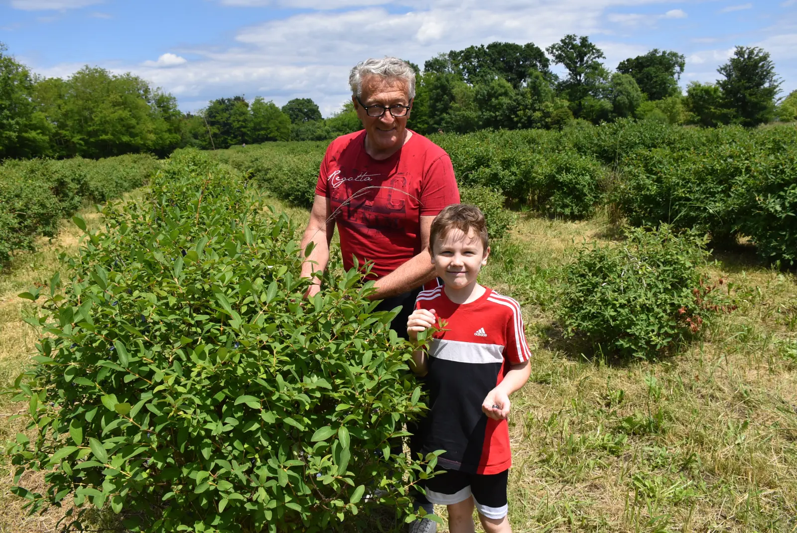 Samoberba, Prelog, Čonkaš, Haskap 2025 (8)