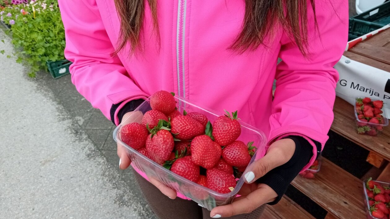 Saša Leskovar ČK – jagode (2)