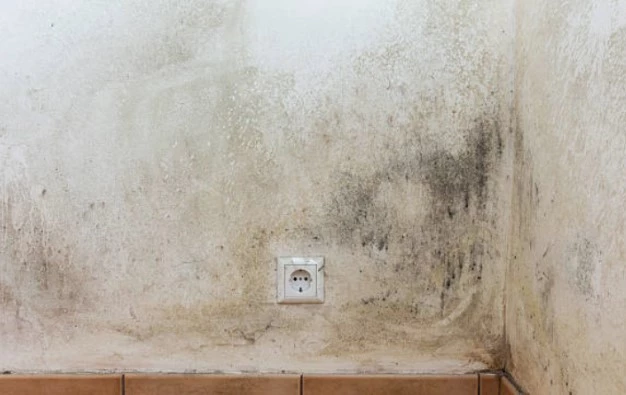 rijeka Mura vodostaj 2024