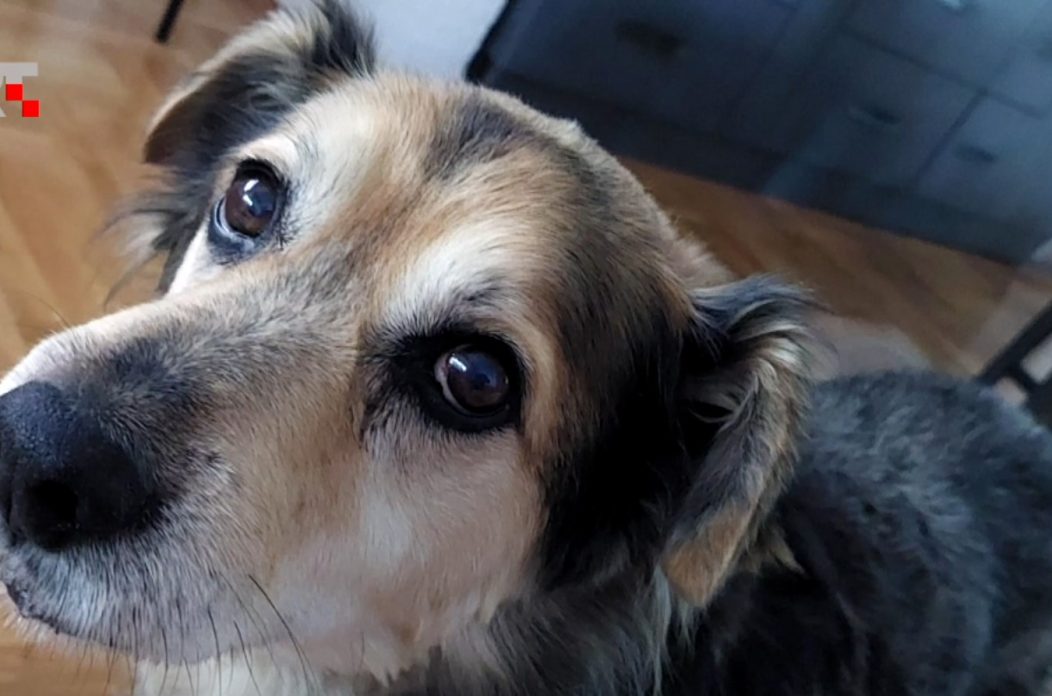 Screenshot_1 Screenshot_1