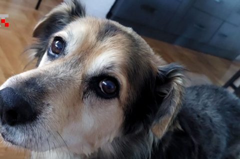 Screenshot_1 Screenshot_1