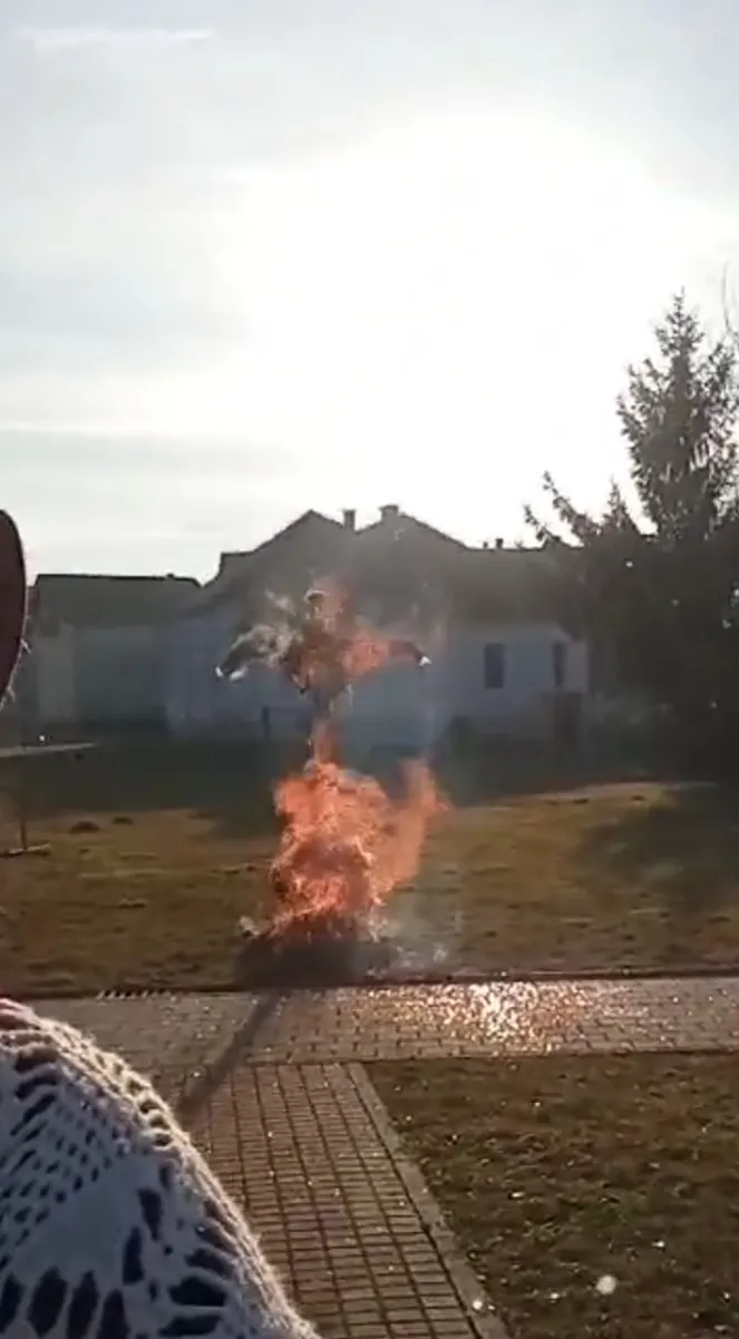 Screenshot_20240205_000408_Viber Screenshot_20240205_000408_Viber