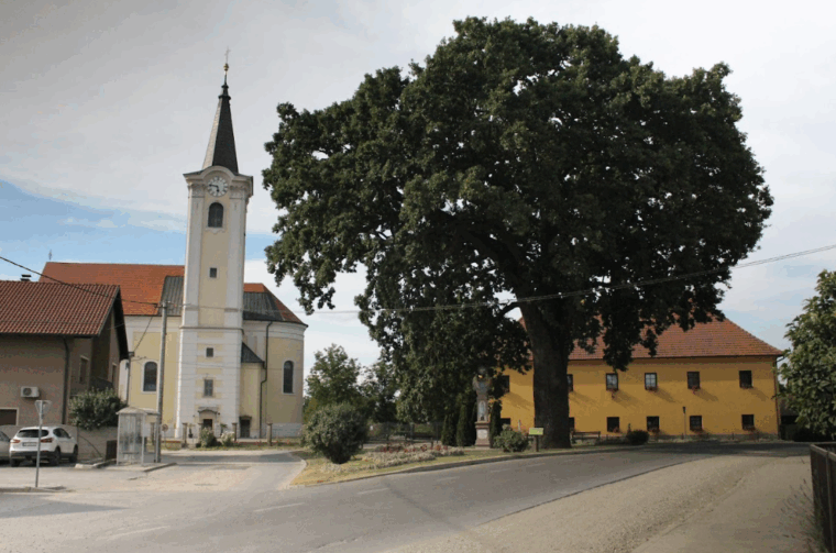 crkva Donji Vidovec Marijan Kovač