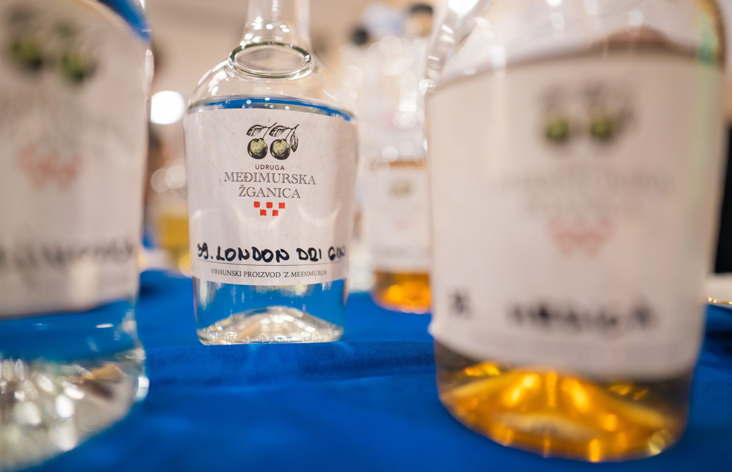 Sedmi ficko festival selnica 2025 (15) Sedmi ficko festival selnica 2025 (15)