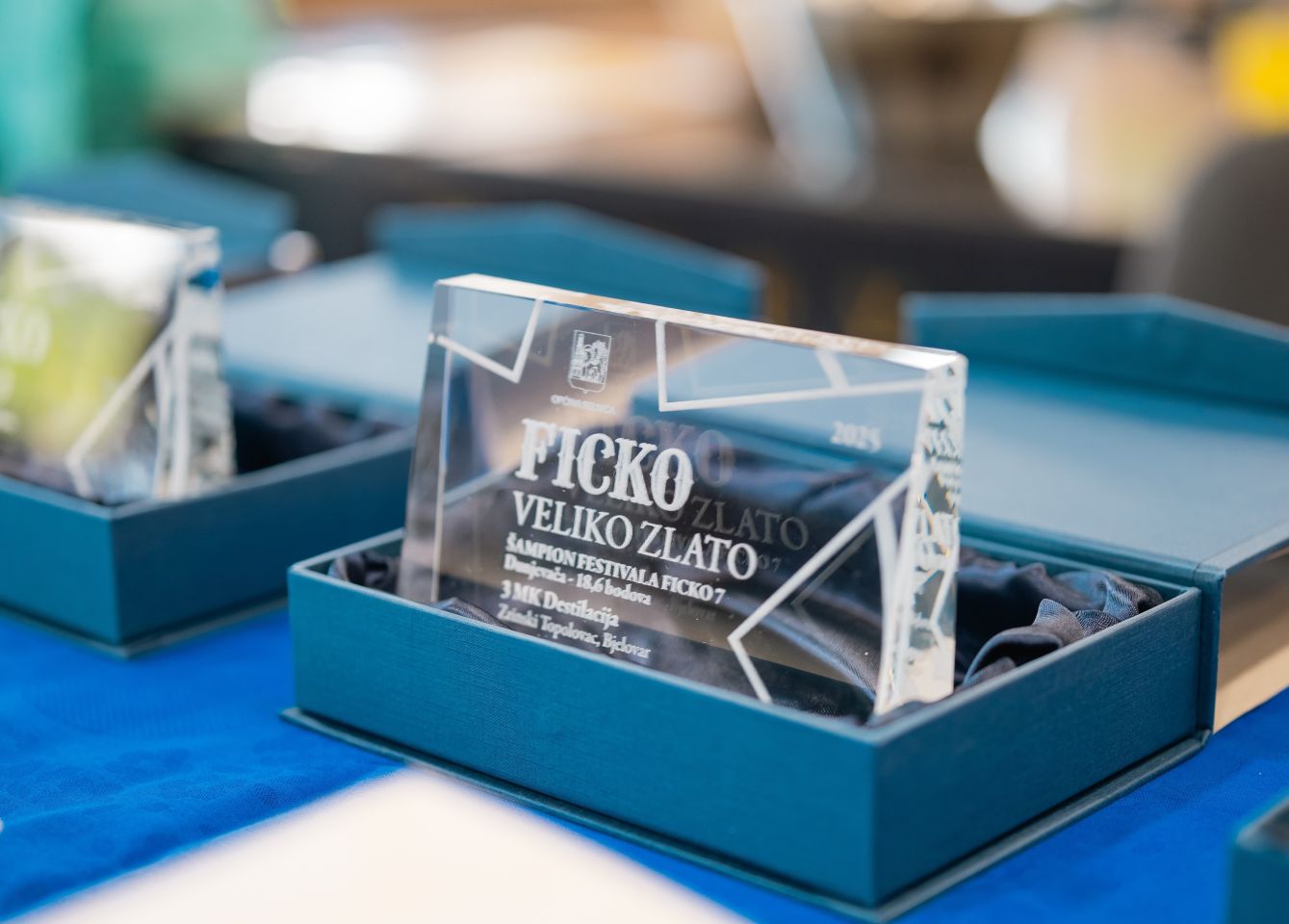 Sedmi ficko festival selnica 2025 (61) Sedmi ficko festival selnica 2025 (61)