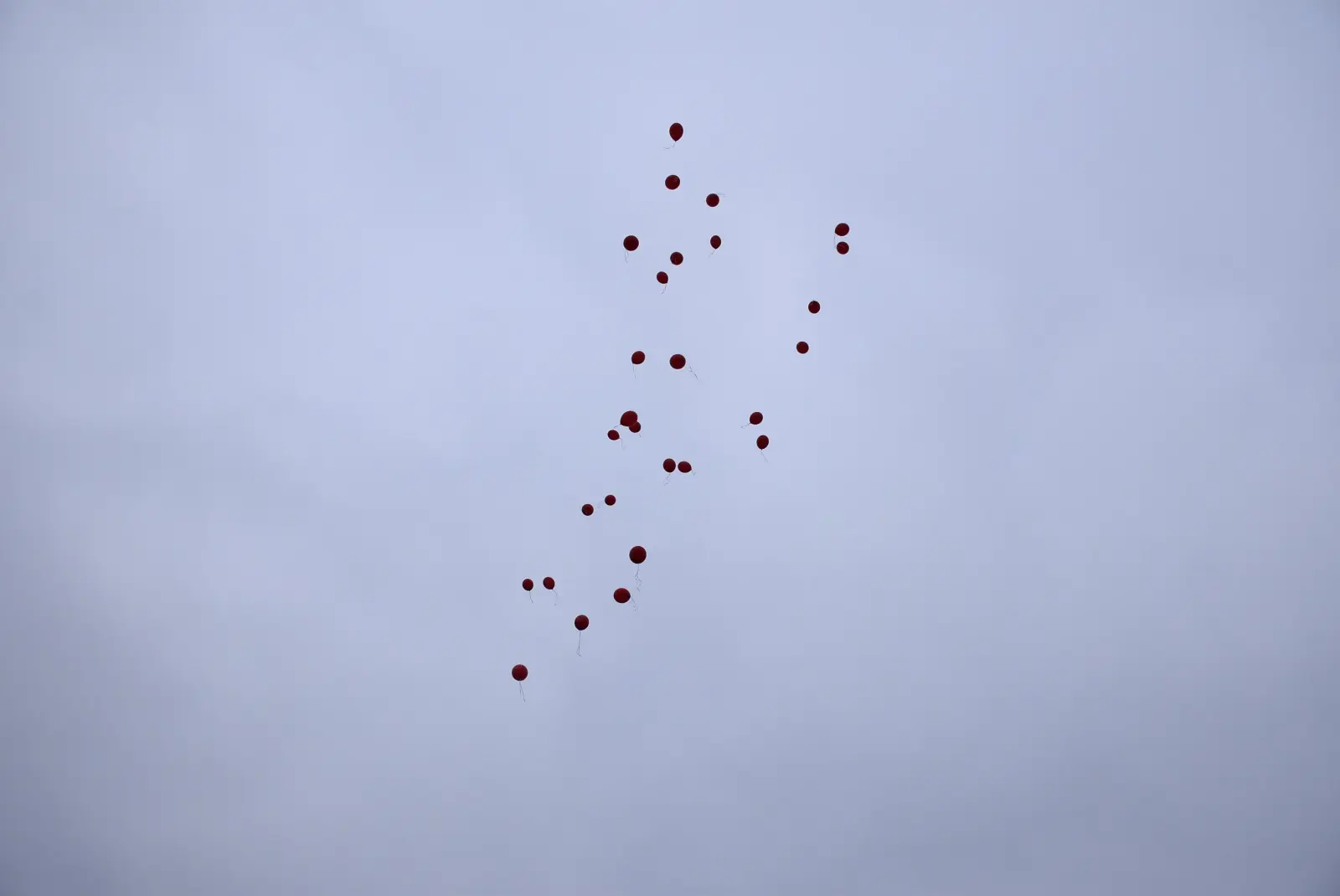 Selnica, Vatrogasci (19)