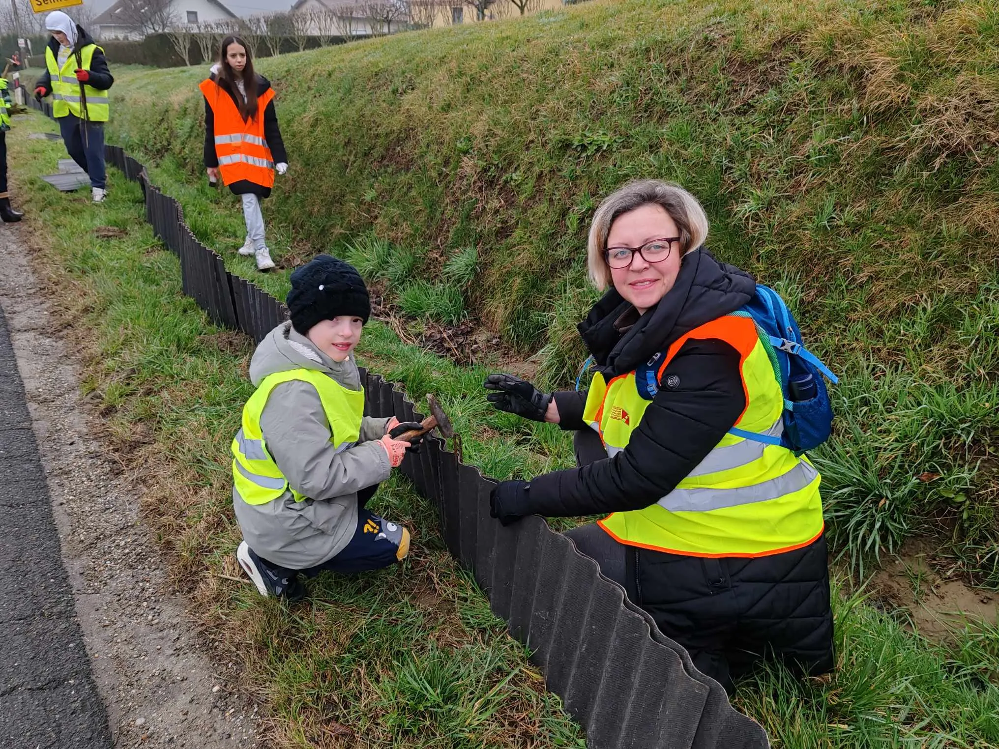 Selnica -Zabe na cesti (1) Selnica -Zabe na cesti (1)