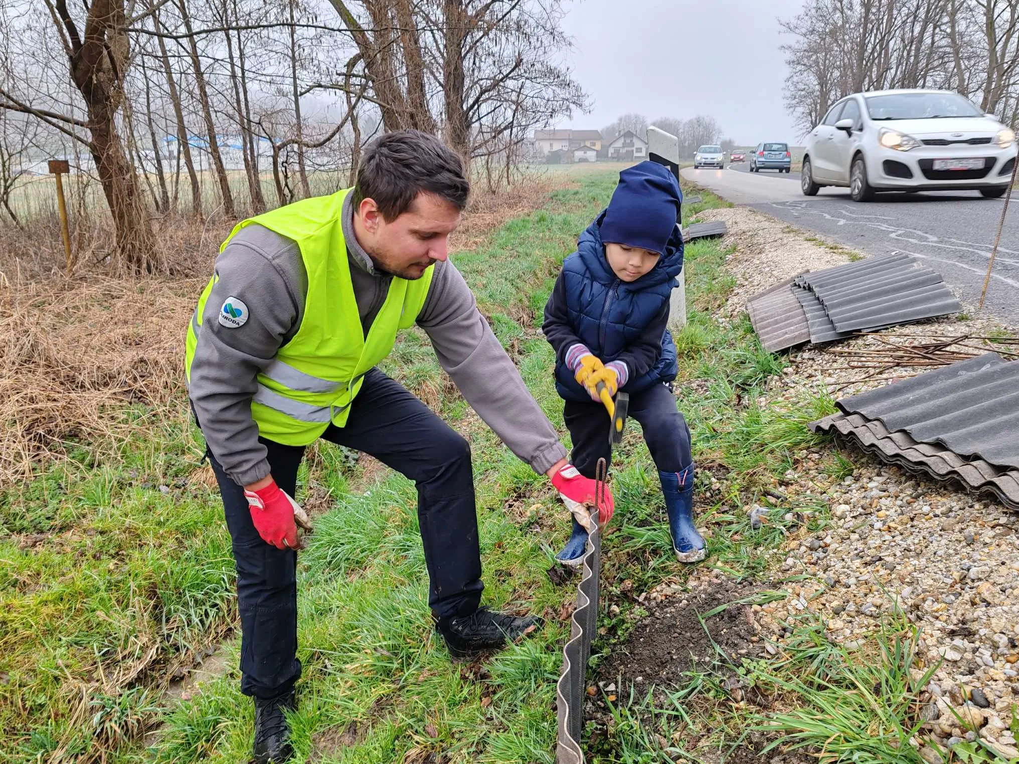 Selnica -Zabe na cesti (2) Selnica -Zabe na cesti (2)