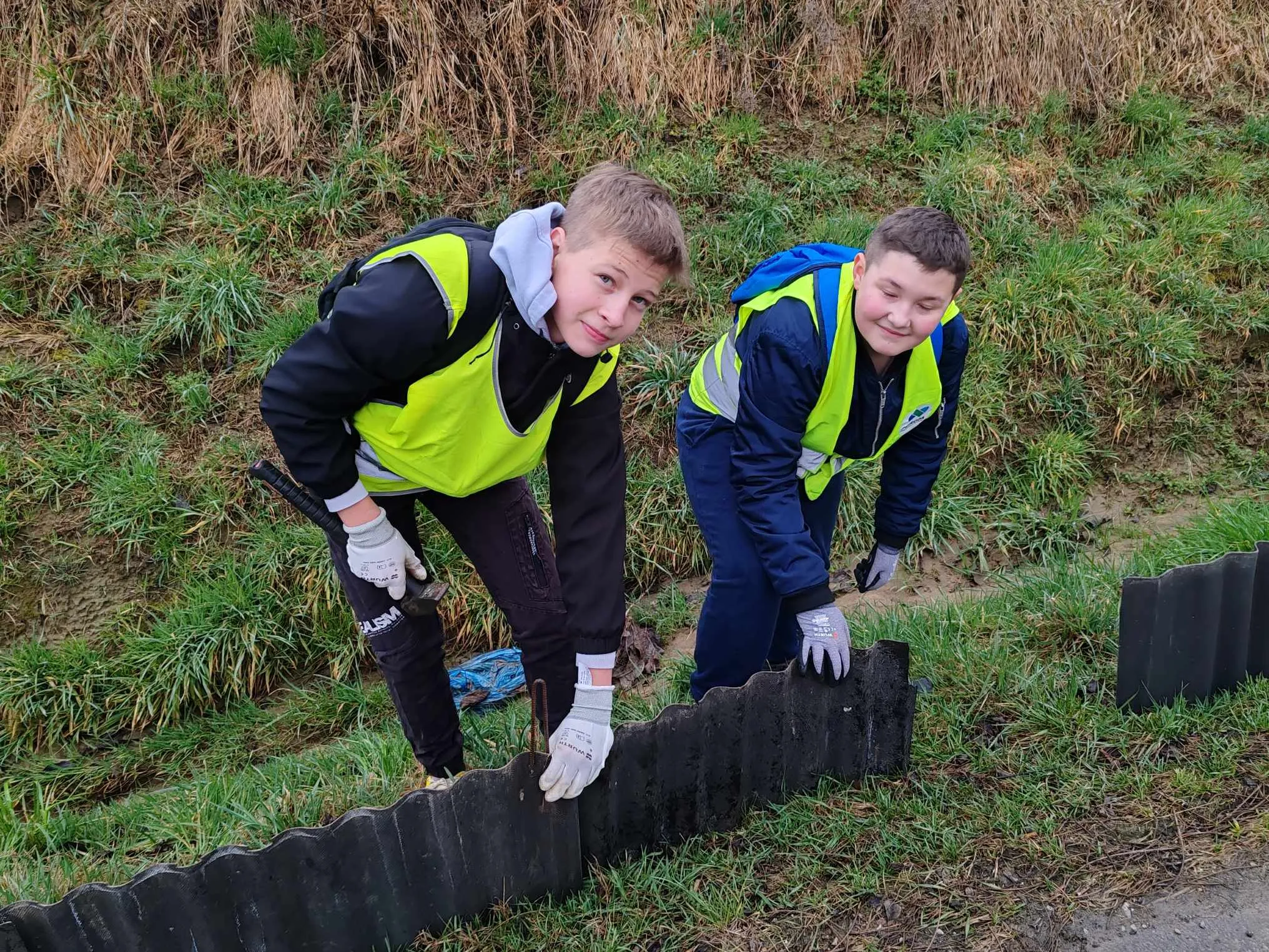 Selnica -Zabe na cesti (5) Selnica -Zabe na cesti (5)