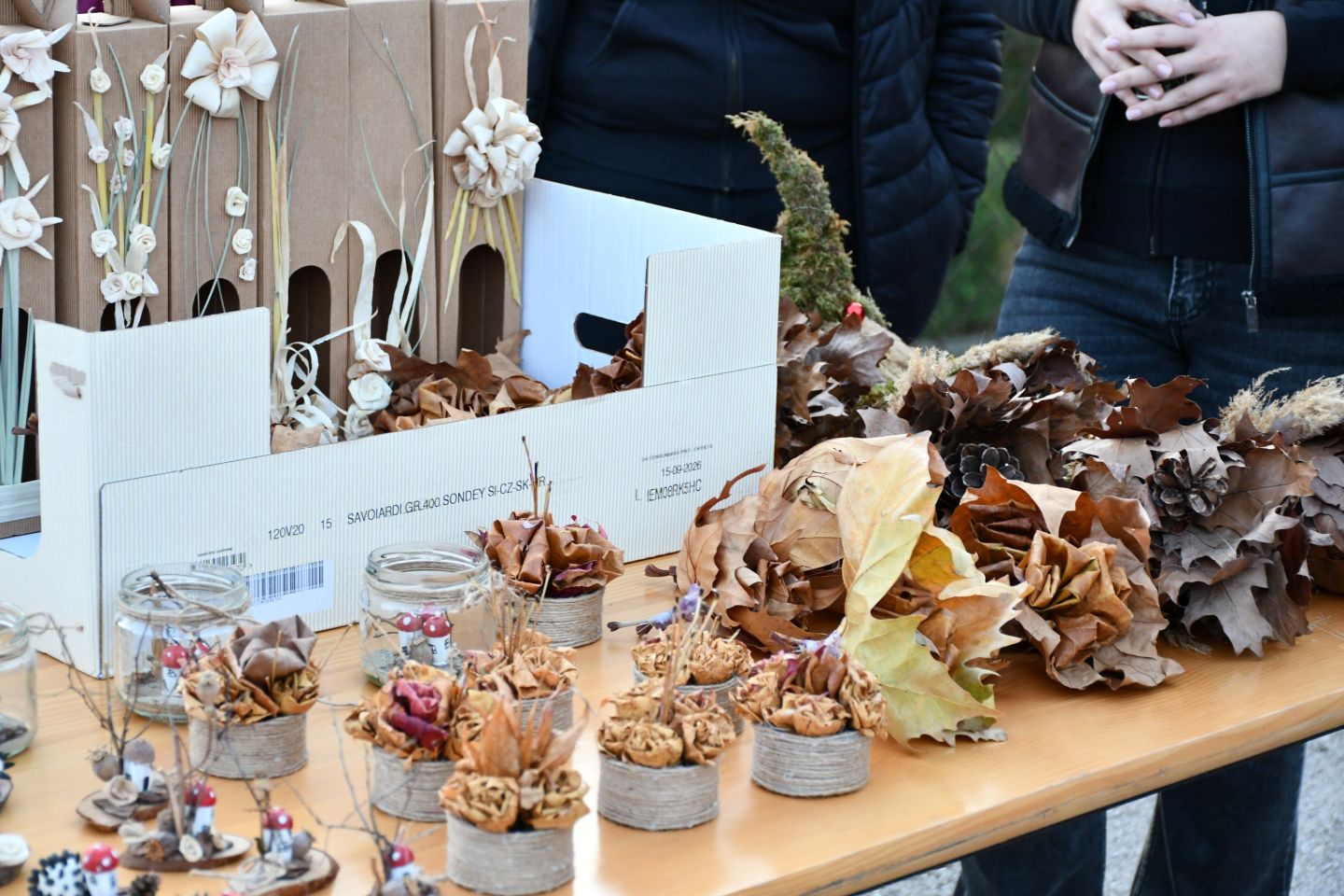 Selnica martinje 2025 (16)