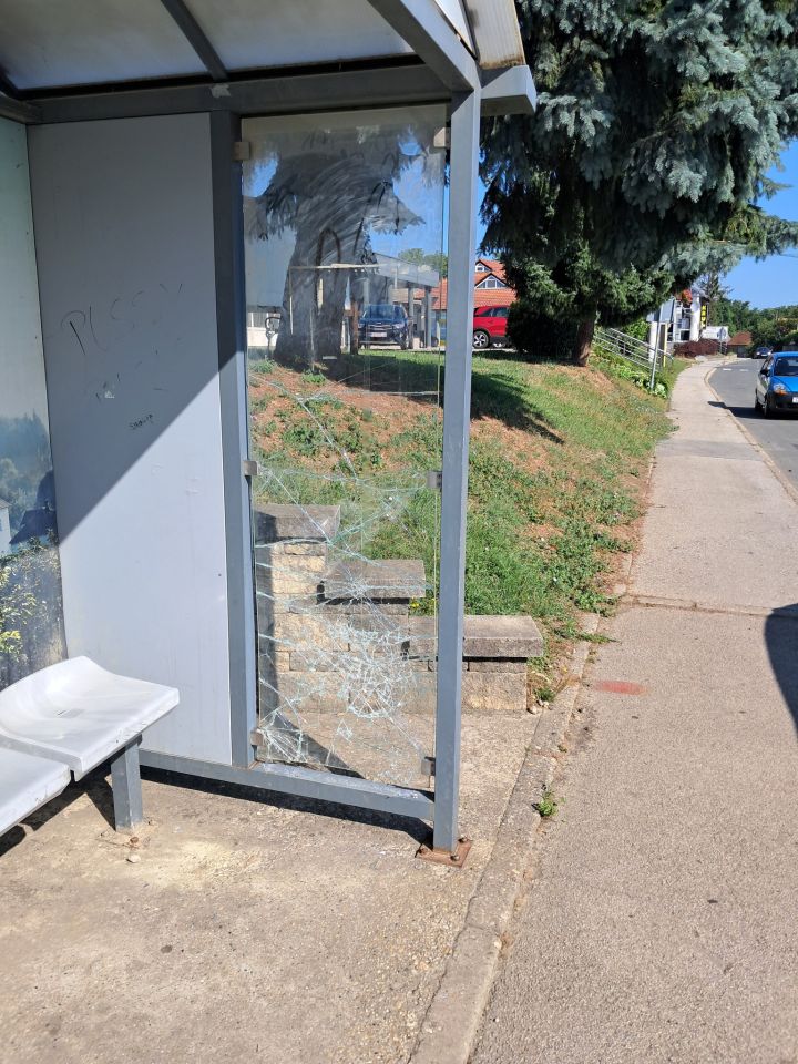 Selnica vandalizam (1)