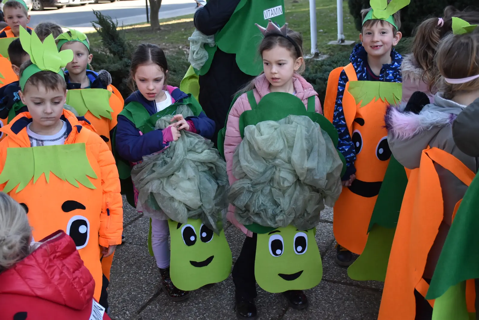 Selnički fašnik, Općina Selnica, maškare (10) Selnički fašnik, Općina Selnica, maškare (10)