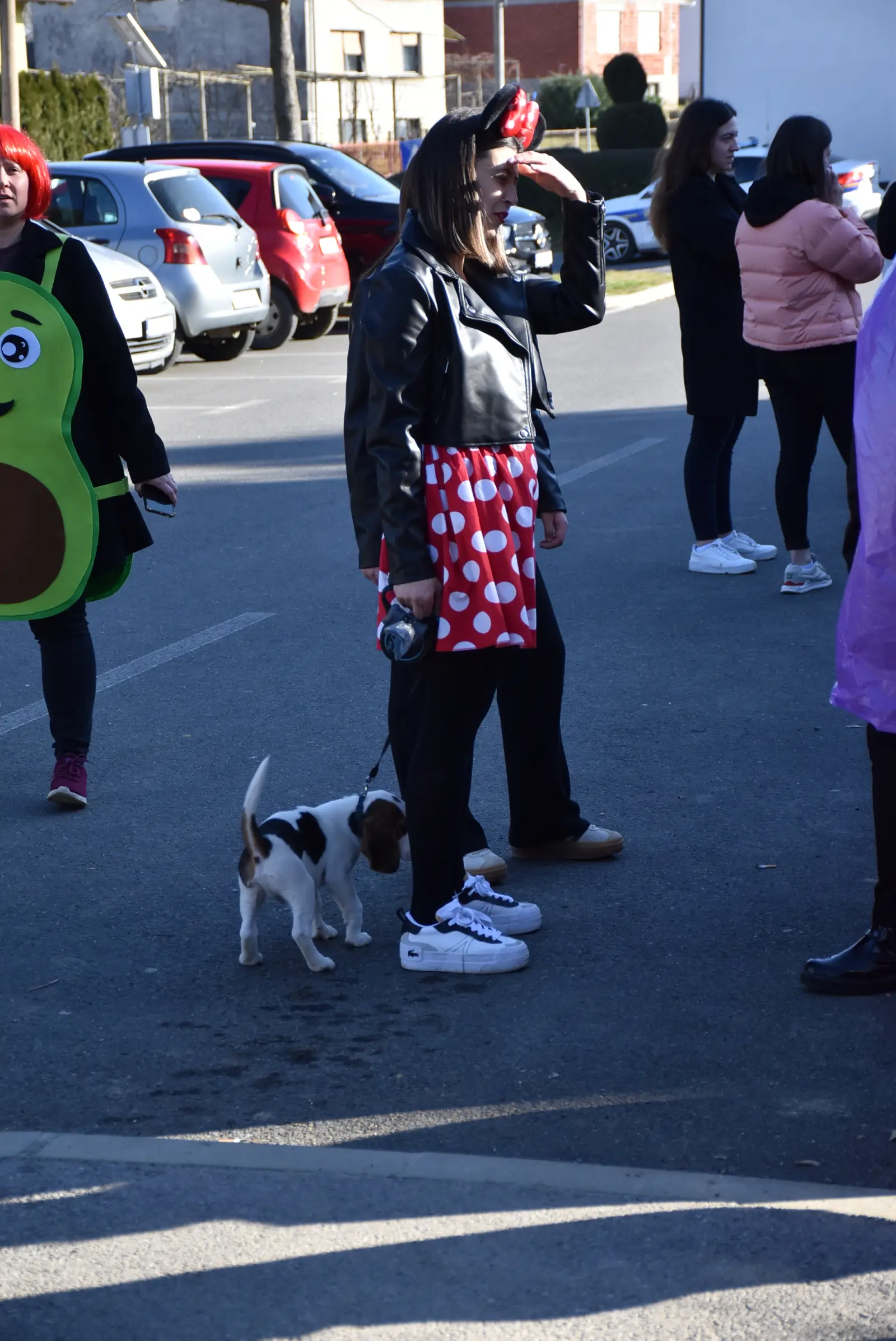 Selnički fašnik, Općina Selnica, maškare (20) Selnički fašnik, Općina Selnica, maškare (20)