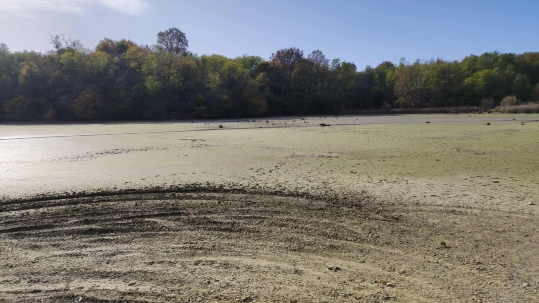 Šenkovec brana ribnjak 2024 (10)